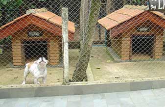 Canil Mudri’s - Foto 1