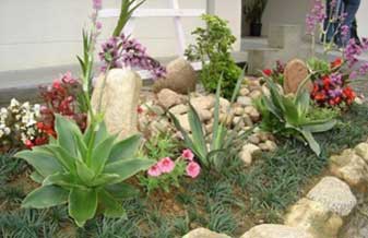 Plinio Jardinagem e Paisagismo - Foto 1
