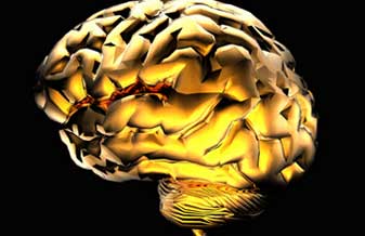 Integritas Neurologia - Foto 1