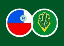 onde assistir São Bernardo x Mirassol ao vivo