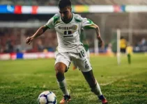 Novorizontino x São Bernardo