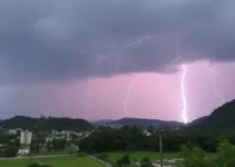 São Bernardo do Campo