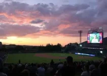 onde assistir São Bernardo-SP x Goiás