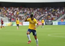 São Bernardo