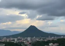 São Bernardo x Novorizontino