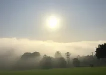 previsão do tempo São Bernardo do Campo