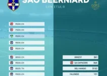 Goiás x São Bernardo