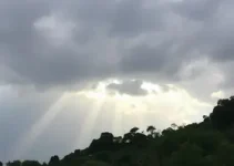 previsão do tempo São Bernardo do Campo