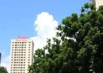 sarampo