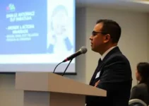 prática profissional na advocacia